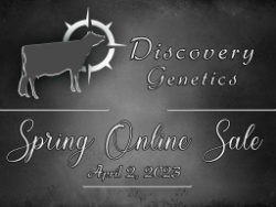 Discovery Genetics Spring Online Sale