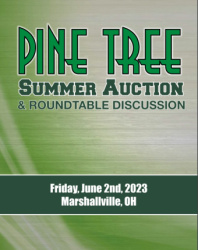 Pine-Tree Summer Sale